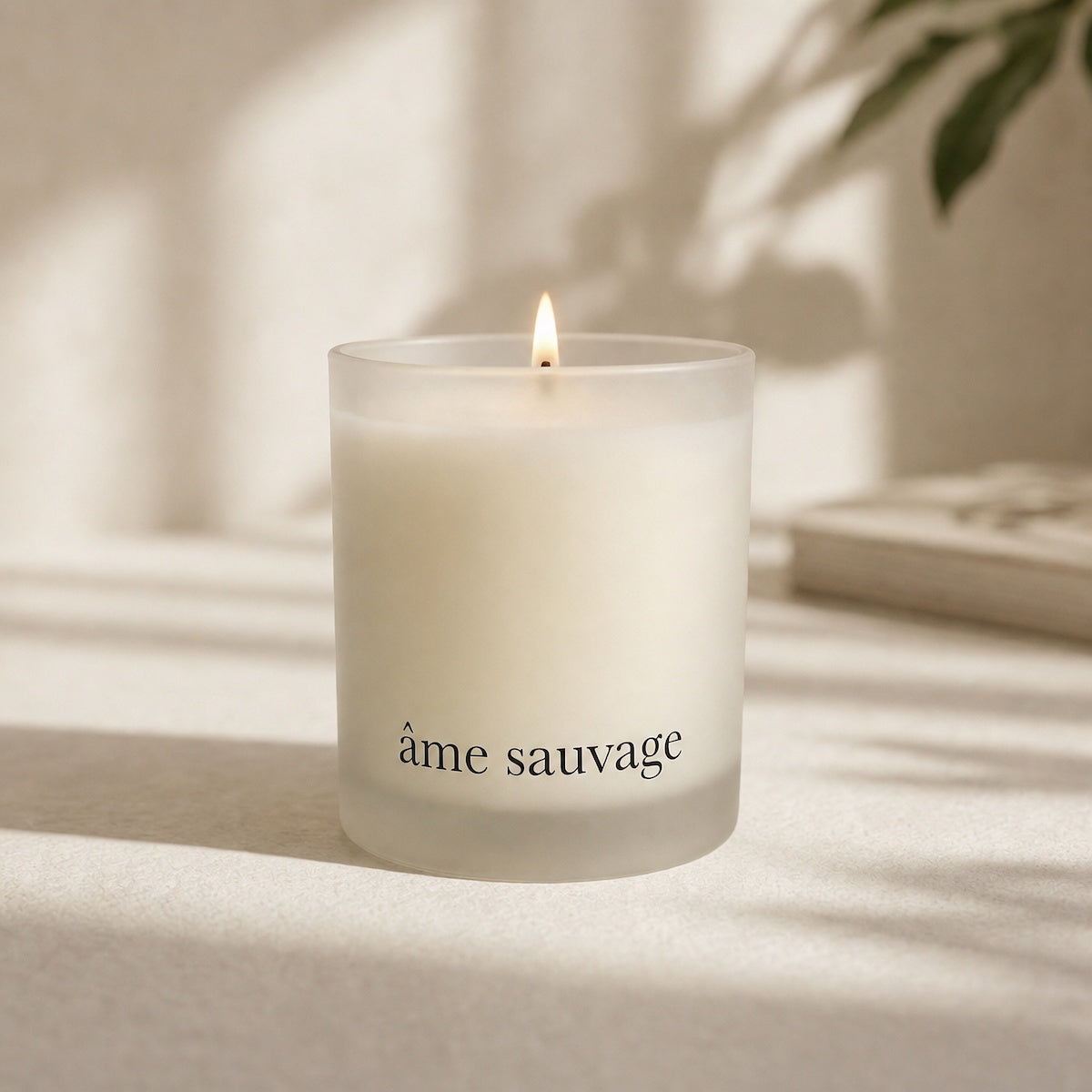 WH SALE | Frosted Candle // Âme Sauvage // 200 ml