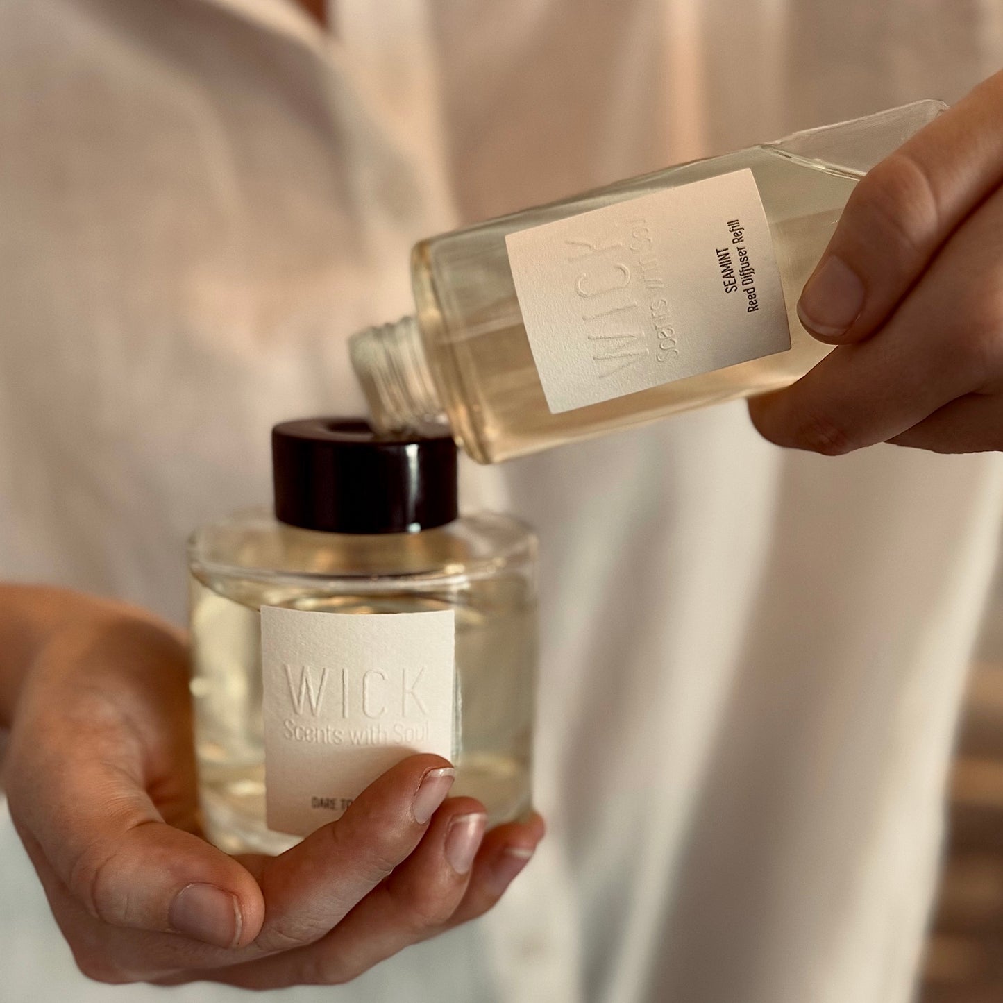 The Reed Diffuser Trio // Gift Set