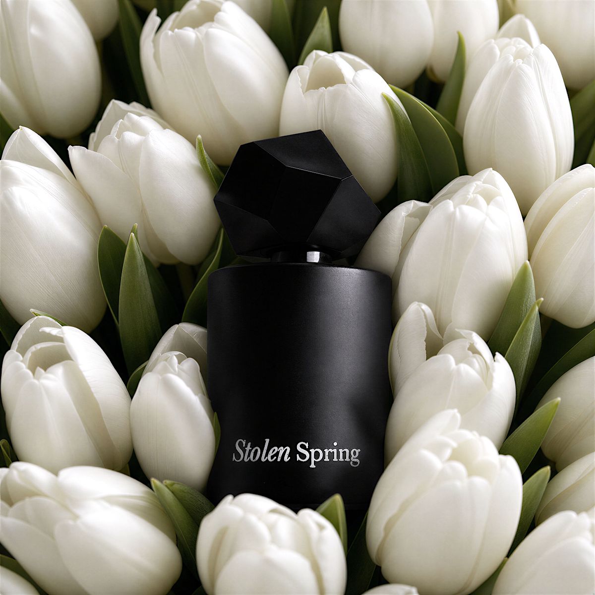 Limited Edition // Eau de Parfum  // Stolen Spring // 50 ml